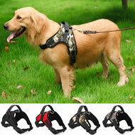 Dog Harness